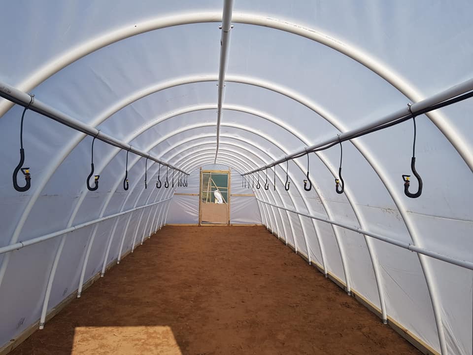 eco tunnels greenhouse sedgefield