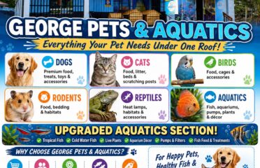 blog-grid-1-410x308