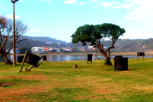 Picnic Spot Braai Facilites