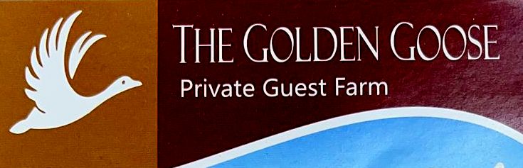 The Golden Goose Logo